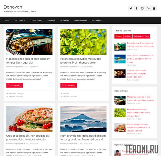 Адаптивный шаблон WordPress - Donovan