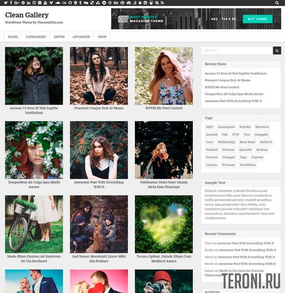 Адаптивный шаблон WordPress - Clean Gallery