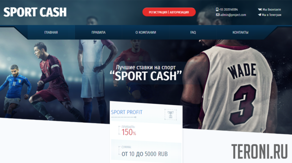 Скрипт Payeer удвоителя Sport Cash с Админкой