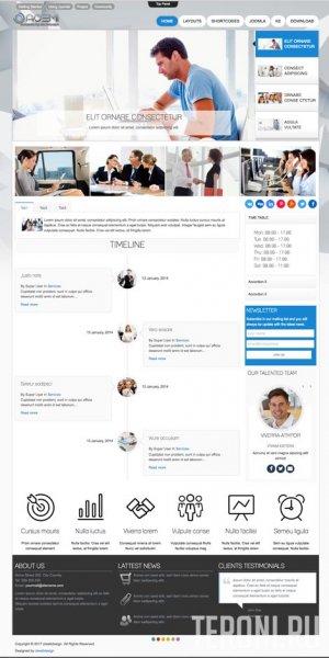 Адаптивный бизнес шаблон Joomla 2.5-3.9 - Acemi