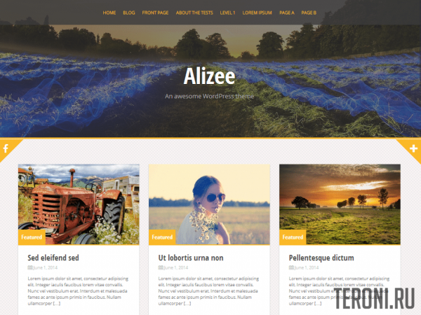 Alizee - премиум шаблон для WordPress