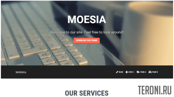 Премиум шаблон WordPress - Moesia