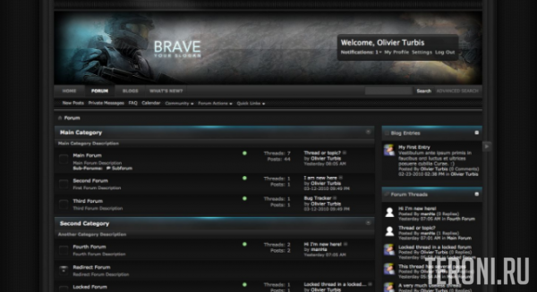 Игровой стиль для форума vBulletin 4.0.2 - Brave