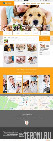 Шаблон Joomla 3.9 ветеринарная клиника - Pets