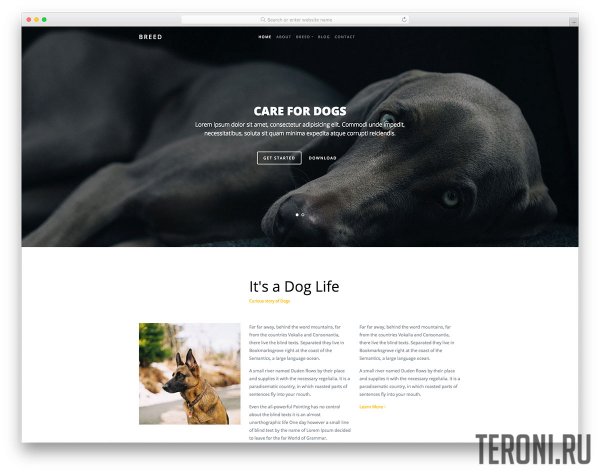 HTML шаблон сайта о животных — Breed