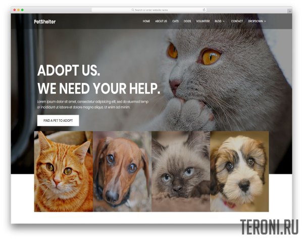 HTML шаблон сайта о животных — Animal Shelter