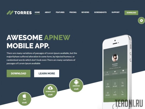 Landing Page шаблон — Torres