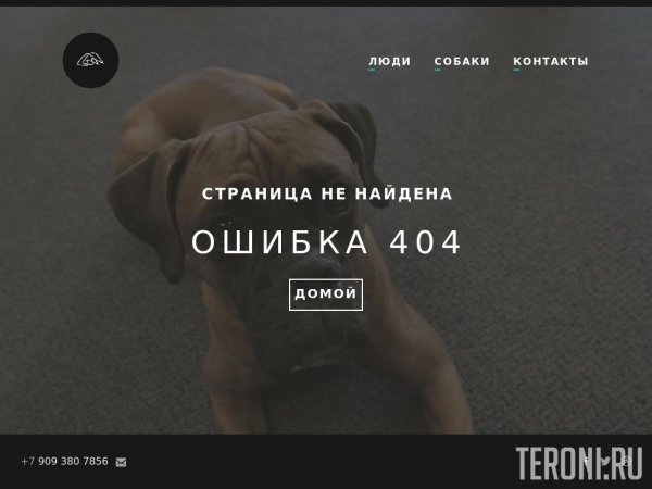 Адаптивная страница ошибки 404 — My Dog