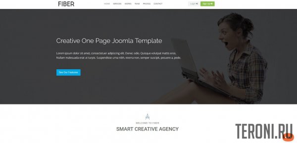 WT Fiber. Стильный бизнес-шаблон для Joomla 3