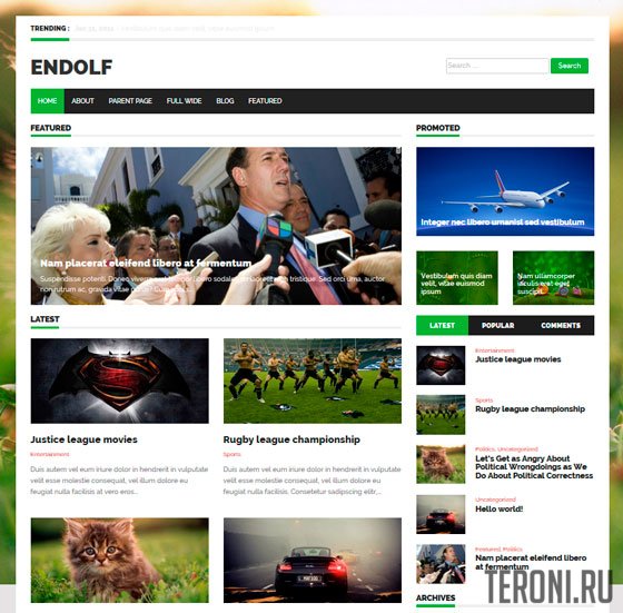 Адаптивный бизнес шаблон WordPress — Endolf