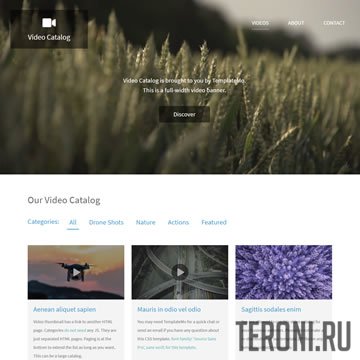 Video Catalog — адаптивный HTML шаблон для видео-блога