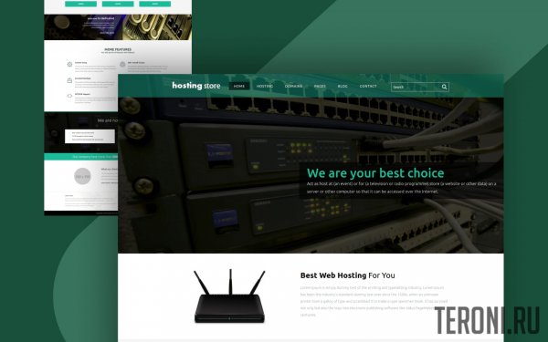 HTML шаблон сайта хостинг-компании — Hosting Store