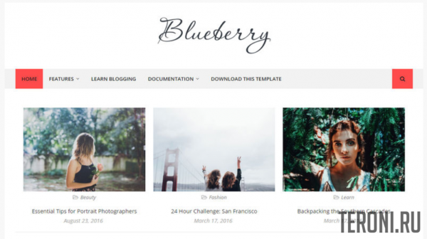 Адаптивный блоговый шаблон Blogger — Blueberry