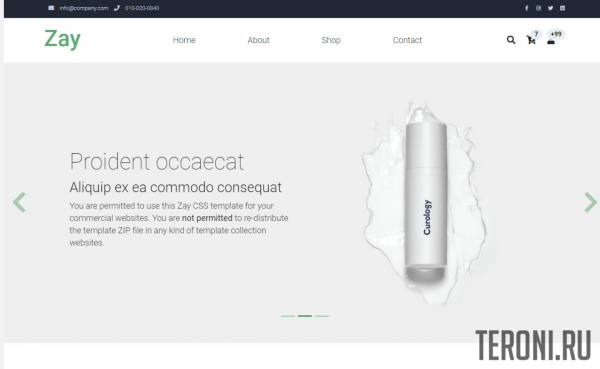 HTML шаблон интернет-магазина — Zay