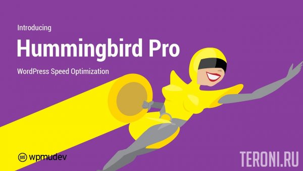 Hummingbird Pro v2.7.1 NULLED — плагин оптимизации скорости WordPress