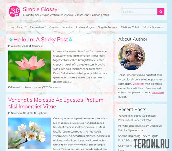 Адаптивный женский шаблон WordPress — Simple Glassy