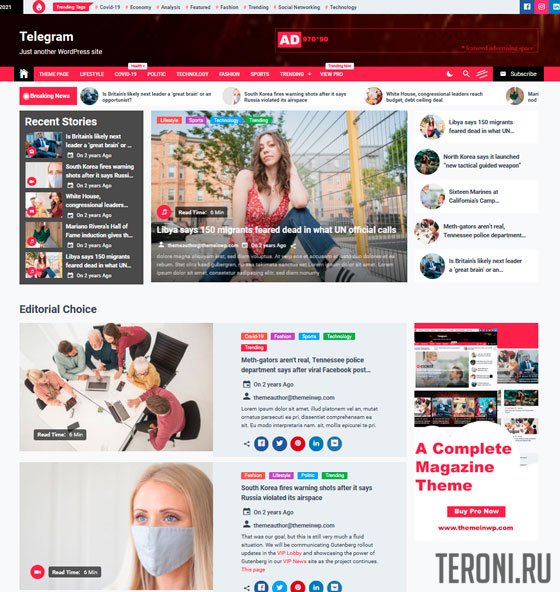 Адаптивный новостной шаблон WordPress — Telegram